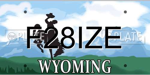 F28IZE Wyoming License Plate