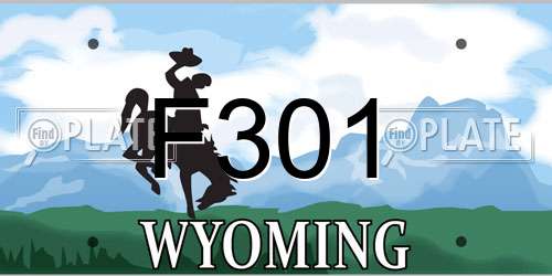 F301 Wyoming License Plate