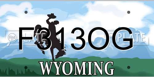 F313OG Wyoming License Plate