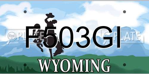 F503GI Wyoming License Plate
