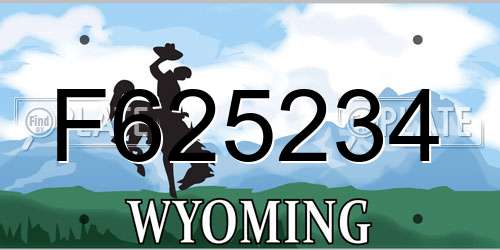 F625234 Wyoming License Plate