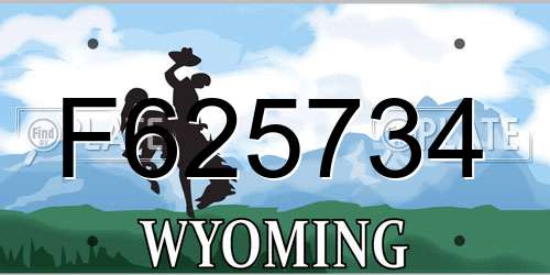 F625734 Wyoming License Plate