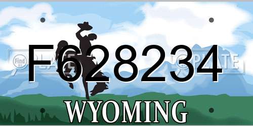 F628234 Wyoming License Plate