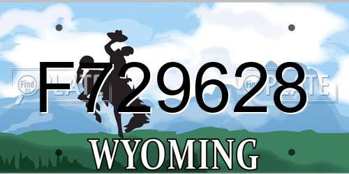 F729628 Wyoming License Plate