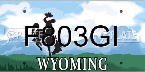 F803GI Wyoming License Plate