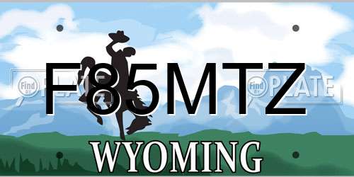 F85MTZ Wyoming License Plate