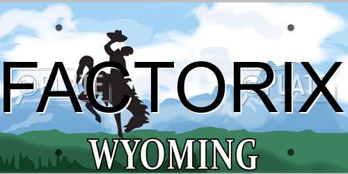 FACTORIX Wyoming License Plate