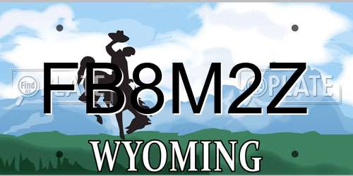 FB8M2Z Wyoming License Plate