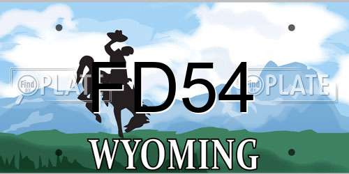 FD54 Wyoming License Plate