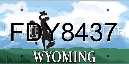 FDY8437 Wyoming License Plate