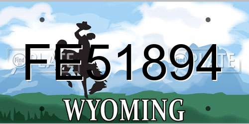 FE51894 Wyoming License Plate