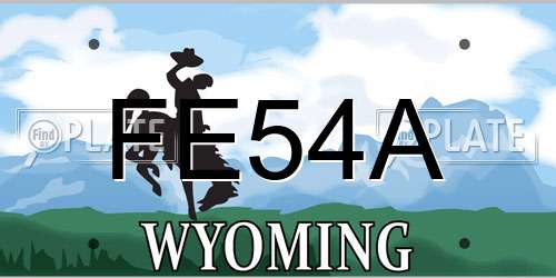 FE54A Wyoming License Plate