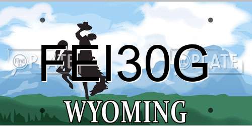 FEI30G Wyoming License Plate