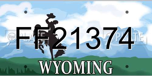 FF21374 Wyoming License Plate