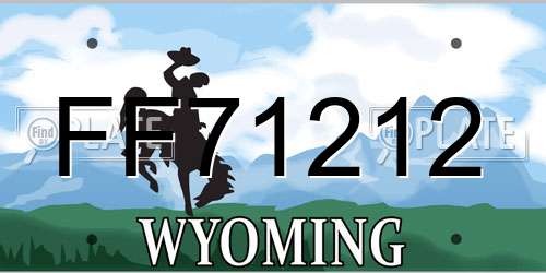 FF71212 Wyoming License Plate