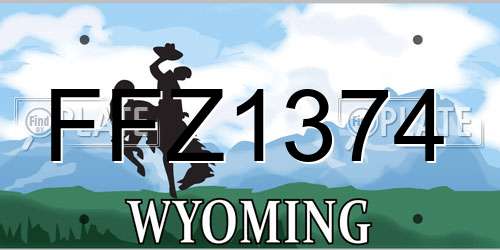 FFZ1374 Wyoming License Plate