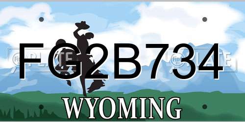 FG2B734 Wyoming License Plate