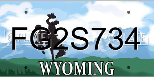 FG2S734 Wyoming License Plate