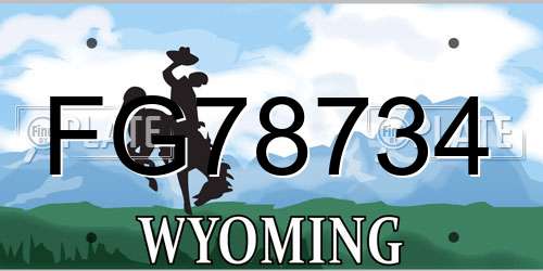 FG78734 Wyoming License Plate