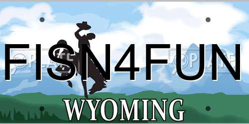 FISN4FUN Wyoming License Plate