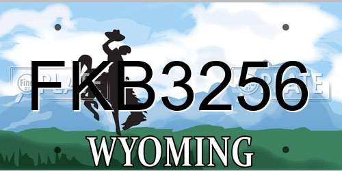 FKB3256 Wyoming License Plate