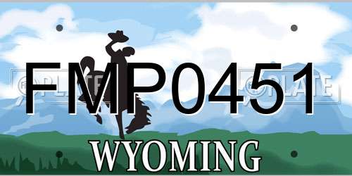 FMP0451 Wyoming License Plate
