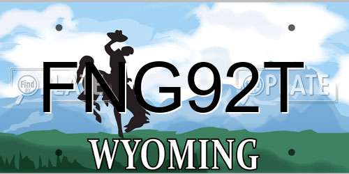 FNG92T Wyoming License Plate