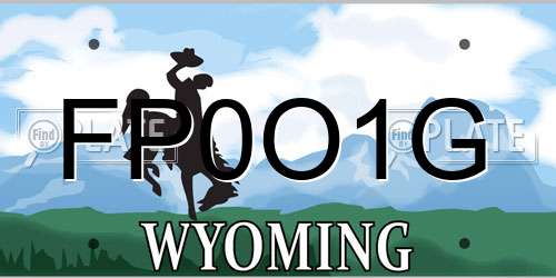 FP0O1G Wyoming License Plate
