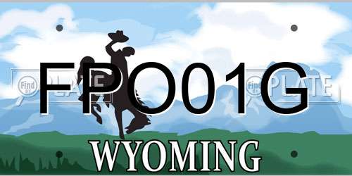 FPO01G Wyoming License Plate