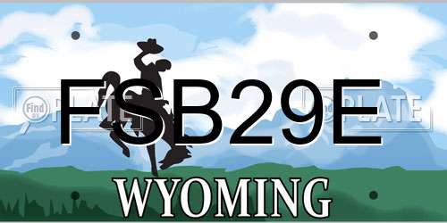 FSB29E Wyoming License Plate