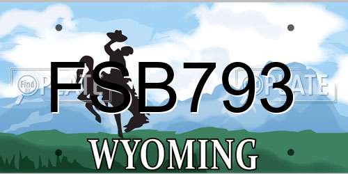 FSB793 Wyoming License Plate