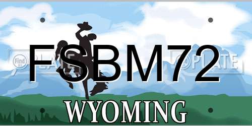 FSBM72 Wyoming License Plate