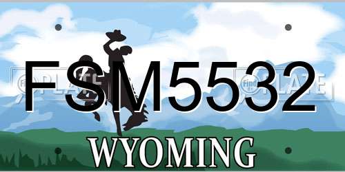 FSM5532 Wyoming License Plate