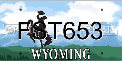 FST653 Wyoming License Plate