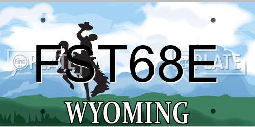 FST68E Wyoming License Plate