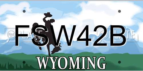 FSW42B Wyoming License Plate