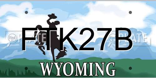 FTK27B Wyoming License Plate