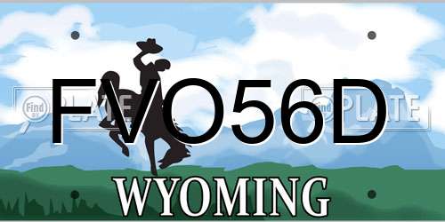 FVO56D Wyoming License Plate