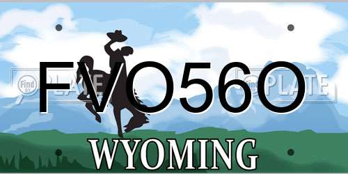 FVO56O Wyoming License Plate