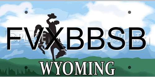 FVXBBSB Wyoming License Plate
