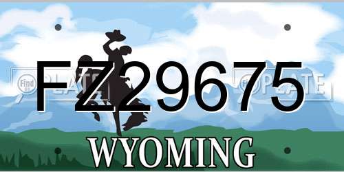 FZ29675 Wyoming License Plate