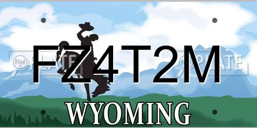 FZ4T2M Wyoming License Plate