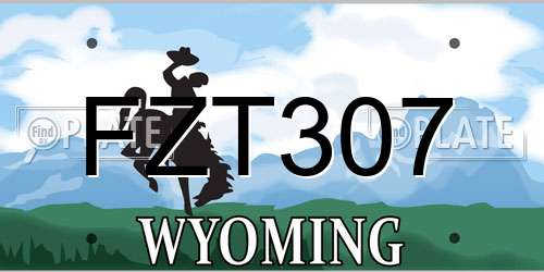 FZT307 Wyoming License Plate