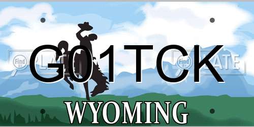 G01TCK Wyoming License Plate