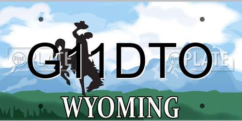 G11DTO Wyoming License Plate