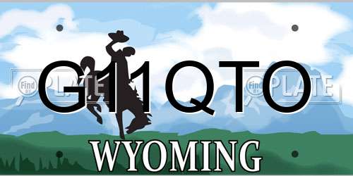 G11QTO Wyoming License Plate