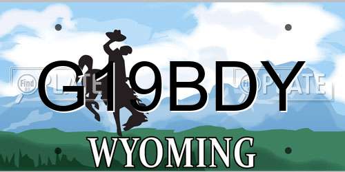 G19BDY Wyoming License Plate
