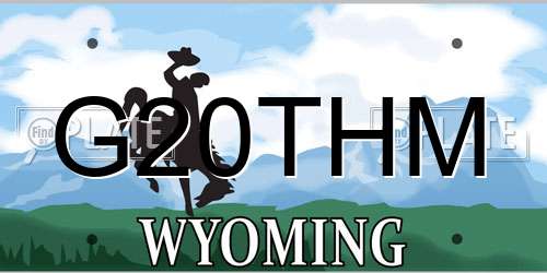 G20THM Wyoming License Plate