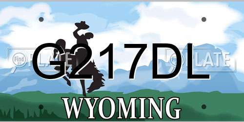 G217DL Wyoming License Plate