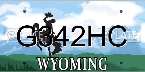 G342HC Wyoming License Plate
